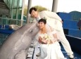最新影樓資訊新聞-海洋世界推出特別婚禮 白鯨君君見證美好愛情 2004-12-30