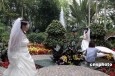 最新影楼资讯新闻-北京植物园成为新人婚纱照首选拍摄地