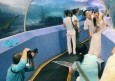 最新影楼资讯新闻-青岛海底世界成了婚纱影楼