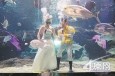 最新影楼资讯新闻-新人在郑州海洋馆举行婚礼