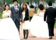 最新影楼资讯新闻-上海两万对新人“五一”扎堆结婚
