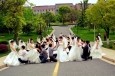 最新影楼资讯新闻-婚礼新玩法 穿着婚纱去春游