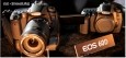 最新影楼资讯新闻-EOS 60D聚焦升级点 佳能成功在此一举