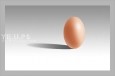 最新影楼资讯新闻-Photoshop制作一个非常逼真的鸡蛋