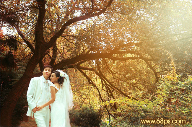 Photoshop调出树林婚片温馨的橙褐色 数码后期教程