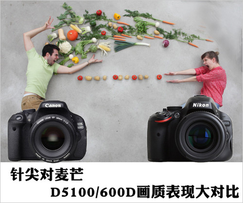 針尖對麥芒 D5100/600D畫質表現大對比