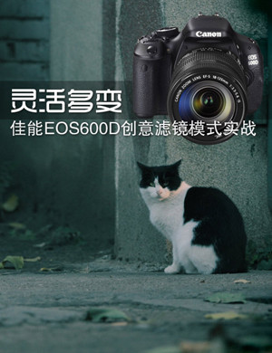 灵活多变 佳能EOS600D创意滤镜模式实战