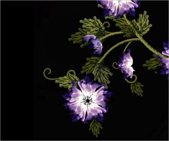 身体开出花——洛杉矶艺术家Cecelia Webber的数字人体摄影 设计欣赏
