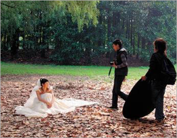 上海植物园禁拍商业婚纱照 婚嫁资讯