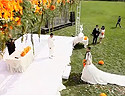 婚礼电影 爱在深秋 橙色主题户外婚礼