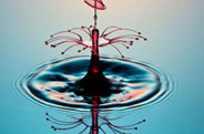 Corrie White：美丽的水滴艺术摄影作品