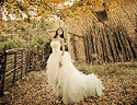 最适合白色婚纱，唯美人像拍摄的季节《秋天的童话》