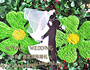 M&T·Wedding——精致红绿撞色婚礼 撒满爱的阳光花嫁