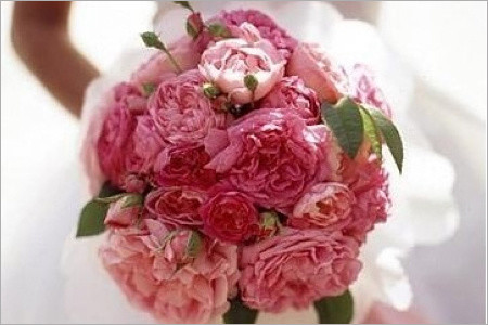 新娘手捧花的5种常见花材 婚礼策划