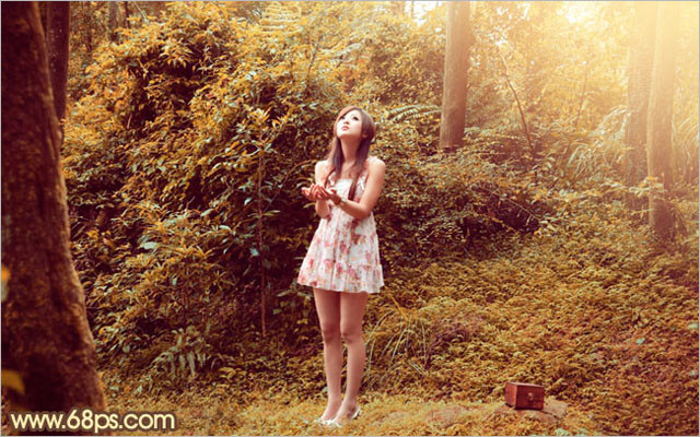 Photoshop调出树林美女图片梦幻的橙褐色