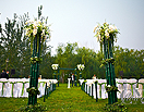 “竹之韵”绿色户外婚礼 记忆中最初的美丽