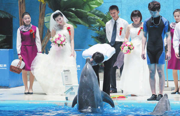 海底世界婚礼策划