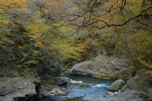 新品評(píng)測(cè)：尼康70-200mm f4G ED VR鏡頭