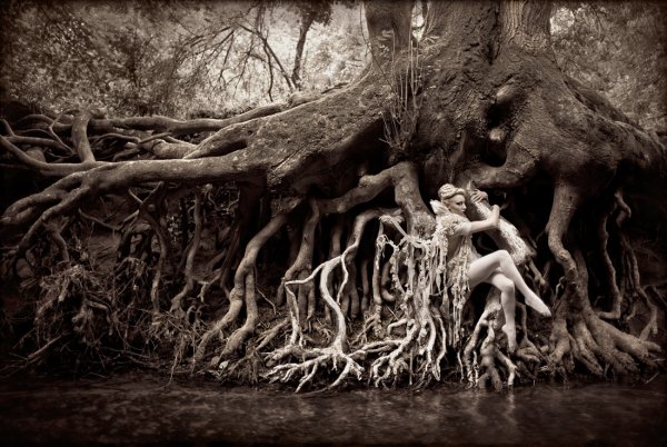 Kirsty Mitchell 的仙境　设计欣赏　创意摄影