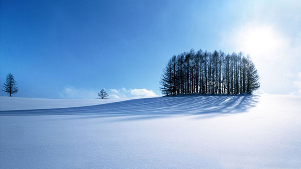 Photoshop打造唯美的冬季雪景婚片