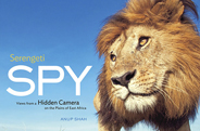 最新影楼资讯新闻-《Serengeti Spy》 与野生动物对视