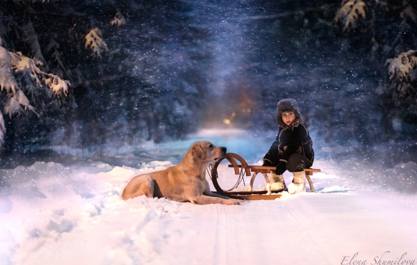 Elena Shumilova 冬日里的寶寶攝影