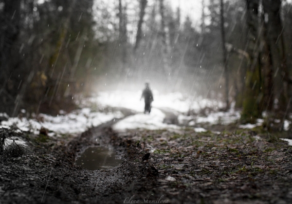 Elena Shumilova 冬日里的寶寶攝影