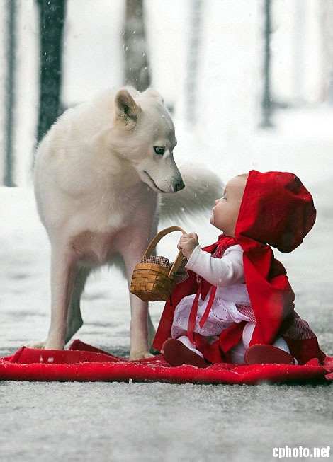 儿童摄影：小红帽和大灰狼