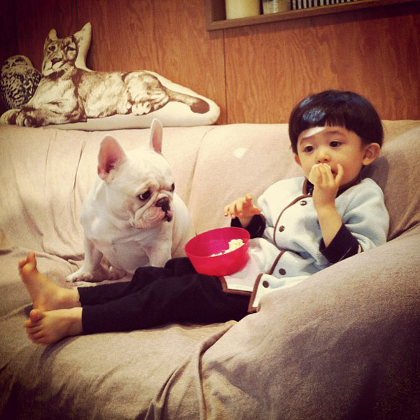 男孩与斗牛犬的甜蜜友谊 Aya Sakai摄影