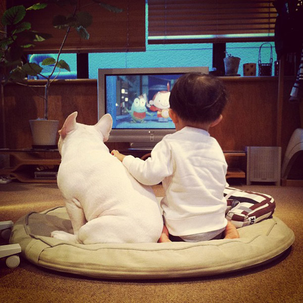 男孩与斗牛犬的甜蜜友谊 Aya Sakai摄影