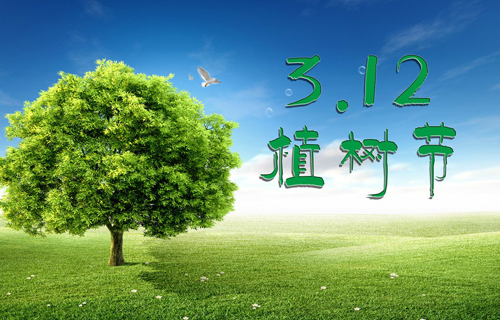 爱在春天里：“同心林”植树节影楼活动策划方案
