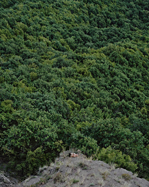 隱藏在風(fēng)景中的人體