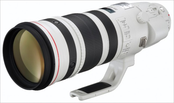 佳能EF 200-400mm f4L IS 1.4×鏡頭香港上市