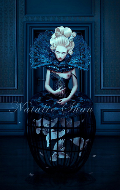 Natalie Shau 奢华艺术作品设计欣赏