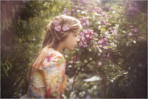 摄影师Vivienne Mok“私密玫瑰花园”主题摄影欣赏
