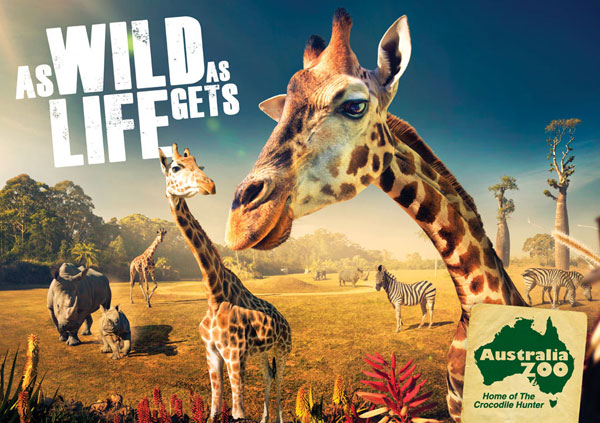 澳大利亚动物园 宣传广告 