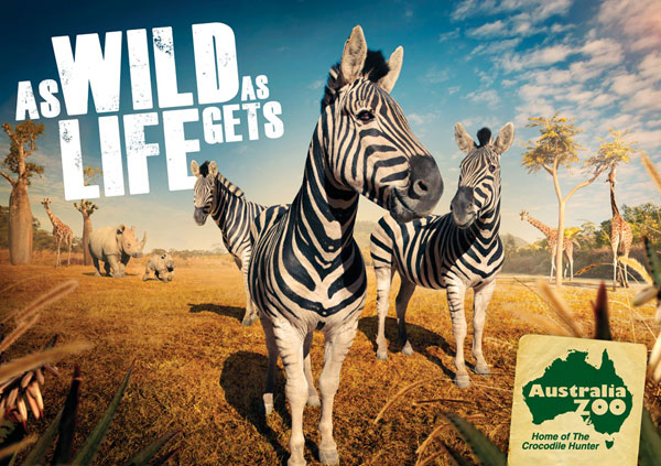澳大利亚动物园 宣传广告 