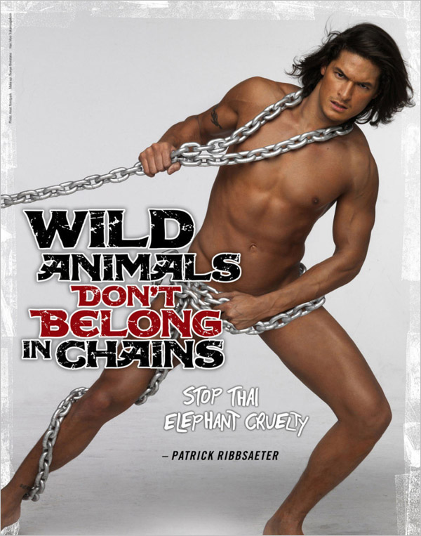 PETA 全裸人体写真广告