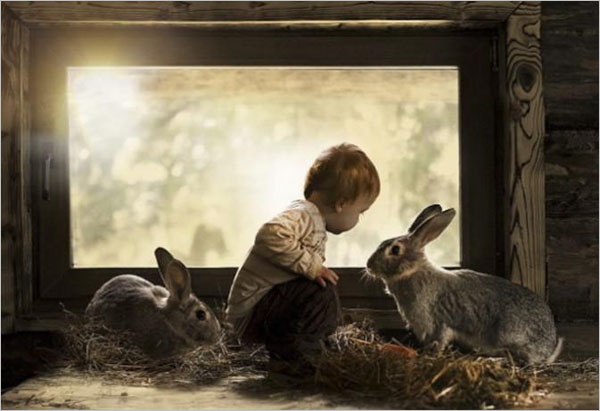 小朋友和两只兔子逆光拍摄