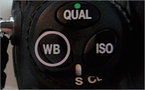 按住相机左上方转盘的“WB”键