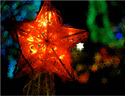 最新影楼资讯新闻-自制花式黑卡 拍出不一样的圣诞散景照