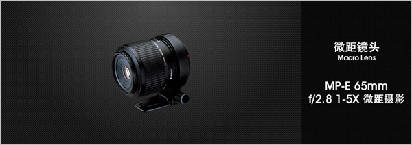 MP-E65mm f/2.8 1-5x 微距摄影