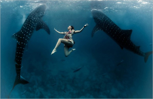梦幻水下人像摄影：人与鲸鲨共舞海洋