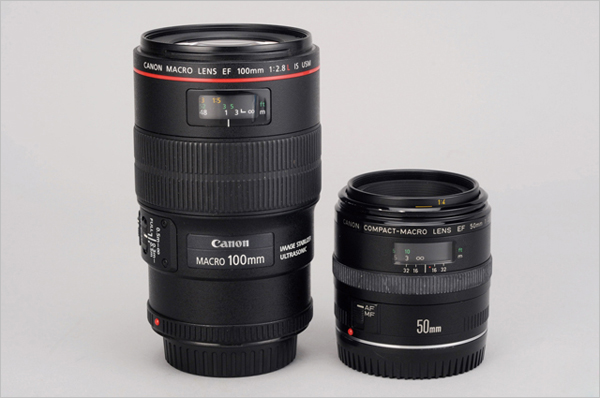 Canon EF 50mm F2.5 Macro与EF 100mm F2.8L IS USM