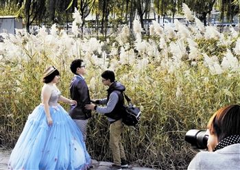 吉林长春公园禁止影楼拍婚纱照