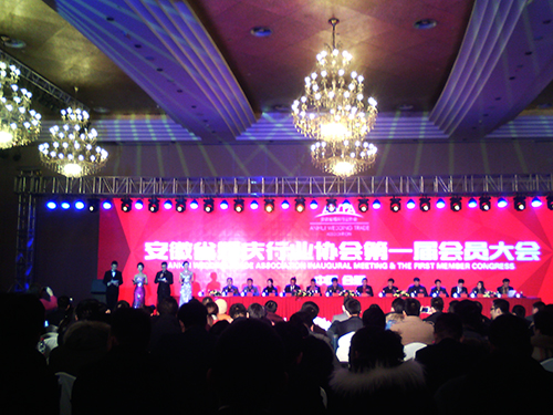 安徽省婚庆行业协会第一届会员代表大会暨成立大会开幕