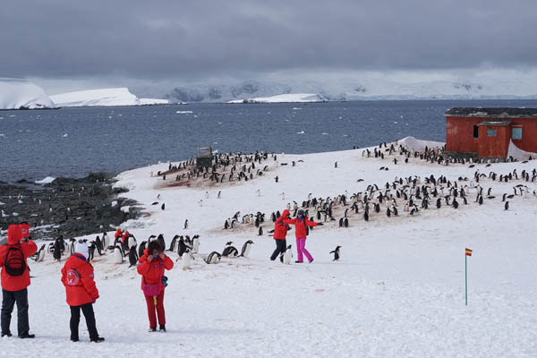 中国新人到南极大陆拍婚纱照