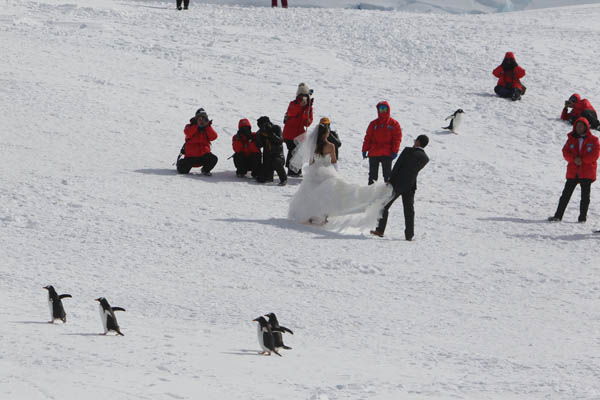 中国新人到南极大陆拍婚纱照