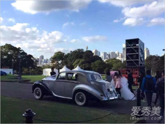 刘强东和奶茶妹妹悉尼拍婚纱照