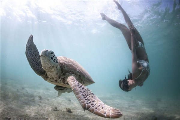 法国摄影师拍摄水下写真 人与动物和谐同游